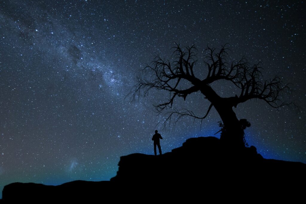 The silhouette of a man stands alone on a rocky outcrop beneath the skeleton of a gnarled desert tree. Behind and over them both is a sky full of stars.