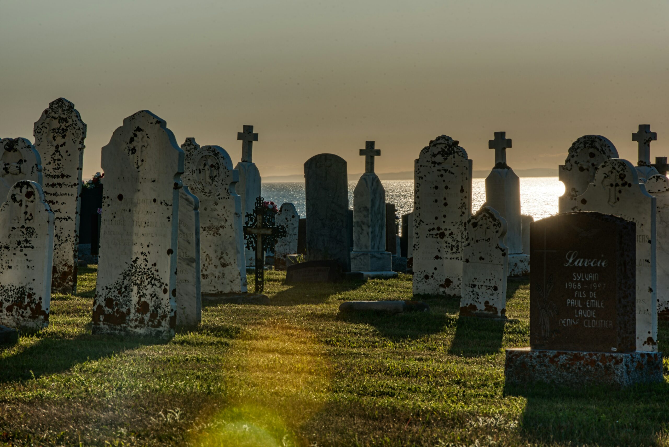 Before you is a cemetery, or perhaps simply a collection of gravestones overlooking a lake. Buried here are all your favourite characters. Their authors probably did this on purpose, to torment you.
